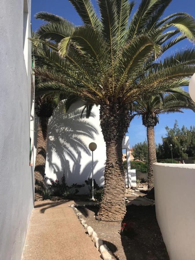 Casa Palmera Коста-де-Антигуа Экстерьер фото